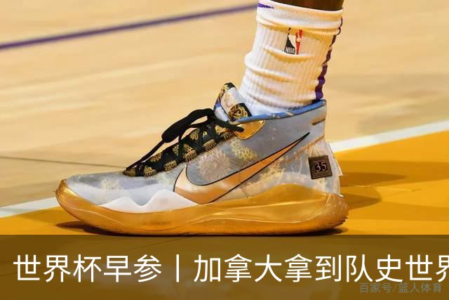 世界杯早参丨加拿大拿到队史世界杯首个积分 开幕式表演翻车大力神杯瘪了 加纳一球员涉嫌强奸被拒绝入境无缘首战