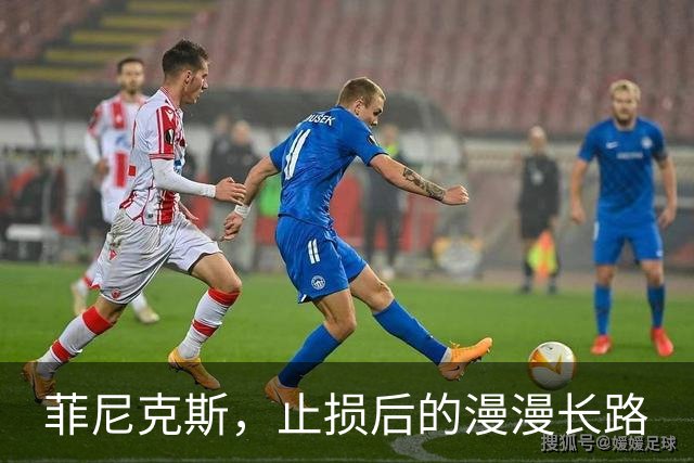 菲尼克斯，止损后的漫漫长路