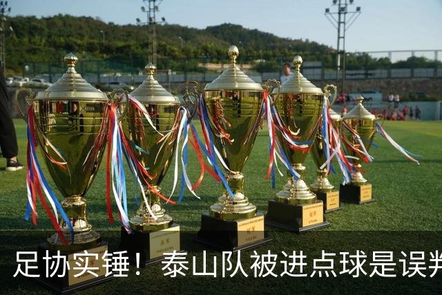 足协实锤！泰山队被进点球是误判
